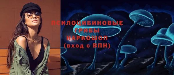 соль курить ск Дмитриев
