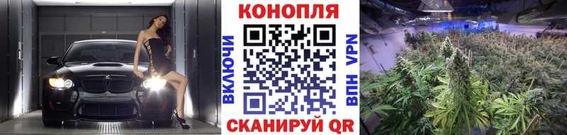 купить наркотики цена  Тюмень  Бошки Шишки планчик 